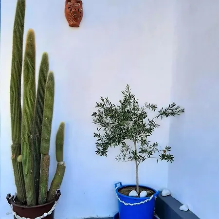 George's Place بيت ضيافة *