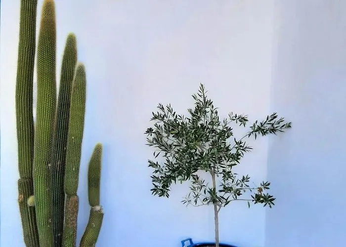 George's Place בית הארחה 3*